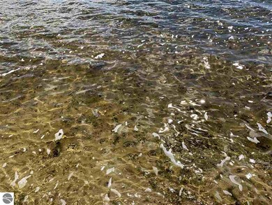 8045 Campbell Ave, Hale, MI 48739 - photo 5