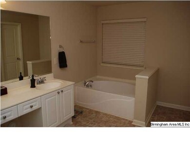 HUGE master bath VIEW 1