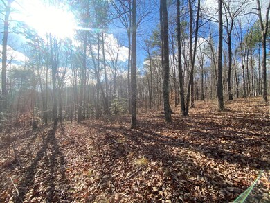 Bluff View 3
