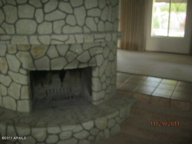 fireplace in LR