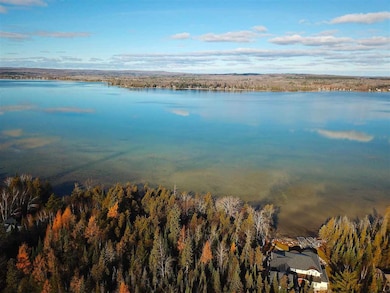 Vacant Township Park Rd, Springvale Township, MI 49770 - photo 4