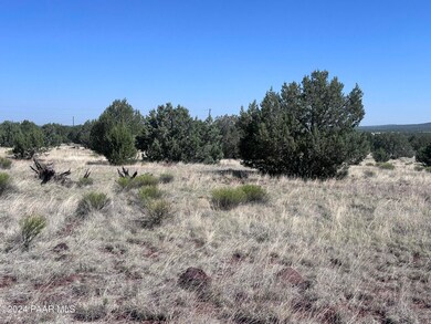 1611 W Yukon Dr, Ash Fork, AZ 86320 - photo 2