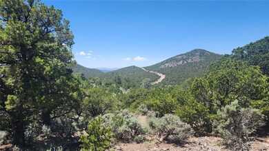 4532 Villa Rd, Fort Garland, CO 81133 - photo 2