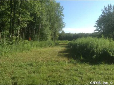 Land/Lot