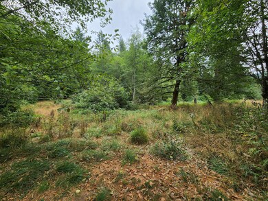 28310 NE Yacolt View Rd, Yacolt, WA 98675 - photo 5