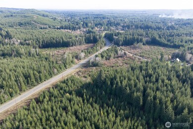 0 NKA Bowes Rd, Hoquiam, WA 98550 - photo 4