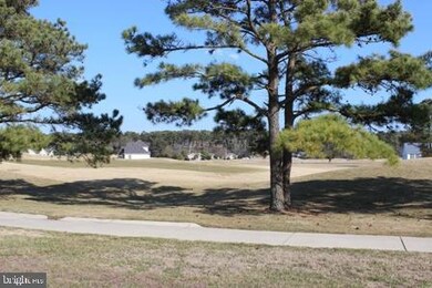 302 Navigator Dr, Greenbackville, VA 23356 - photo 3