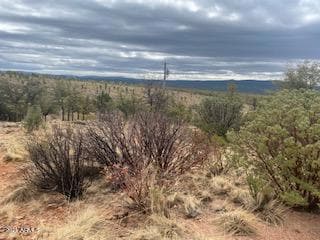 Lot 16 Hoot Owl Trail unit 16, Payson, AZ 85541 - photo 3