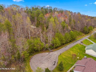 009-EnglishFieldsDrive-Newport-TN-37821-