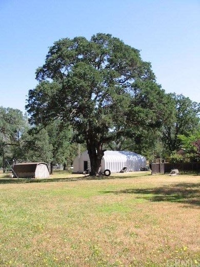 Fantastic Oak Tree with tire swing