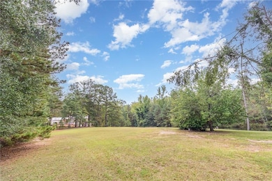 10861 Hutcheson Ferry Rd, Palmetto, GA 30268 - photo 7