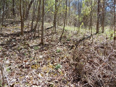 00 Blueberry Dr unit A, Cane River, NC 28714 - photo 4