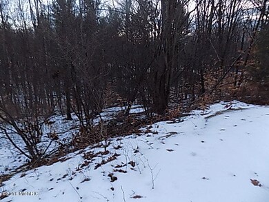 77 Fence Row Cir, Leroy, MI 49655 - photo 2