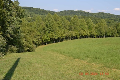 000 Hawk's View Ln, Napier, WV 26631 - photo 3