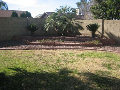Backyard w/built-up planters