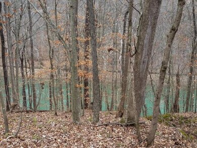 28 Goodbar Rd, Rock Island, TN 38581 - photo 5