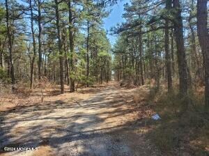 0 Seabrook Ave unit 22410260, Bayville, NJ 08721 - photo 4