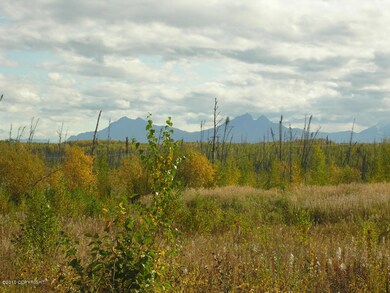 11448 W Tofson Ave, Wasilla, AK 99654 - photo 4