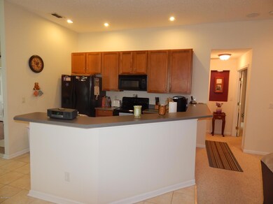 10963 Acorn Park Ct, Jacksonville, FL 32218 - photo 7