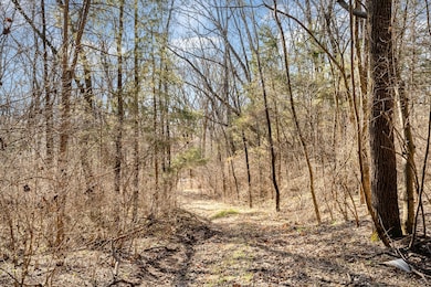 1009 Scramblers Knob, Franklin, TN 37069 - photo 7