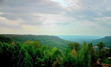 0 Sunset Cir unit 1517629, Jasper, TN 37347 - photo 5