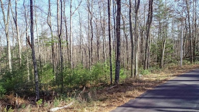 TBD Bennett Rd, Wawarsing, NY 12458 - photo 2