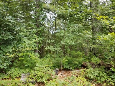 0 Dale Earnhardt Dr unit 3313928, Burnsville, NC 28714 - photo 6