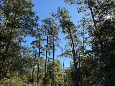 T-4 Eldridge Rd, Cleveland, TX 77328 - photo 7