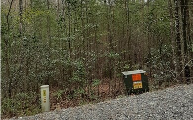 LT 10 Peter Knob Rd, Blue Ridge, GA 30513 - photo 3