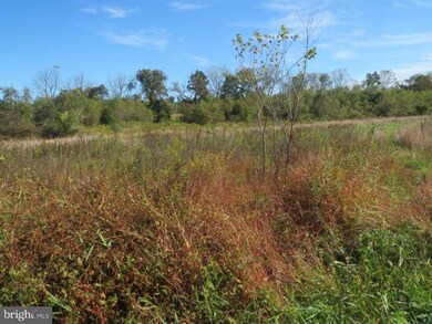 8537 Chestnut St, Barto, PA 19504 - photo 5