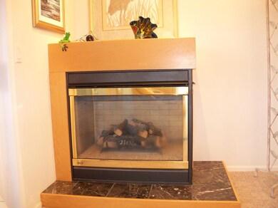 Gas fireplace
