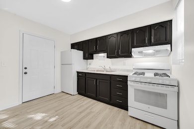 3501 Fir St, East Chicago, IN 46312 - photo 6