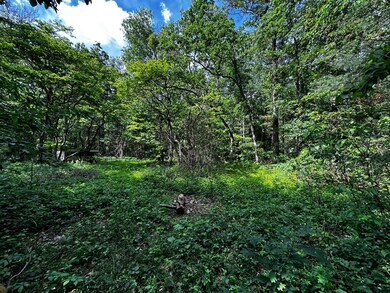IMG_7654