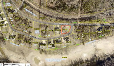 Lot 30 Roark Branch Rd, Branson West, MO 65737 - photo 5