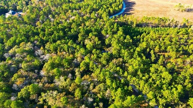 525 Bill Hales Rd, Willis, TX 77378 - photo 6