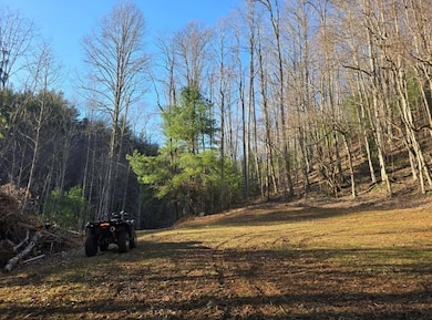 3192 Pumpkintown Rd, Sylva, NC 28779 - photo 6