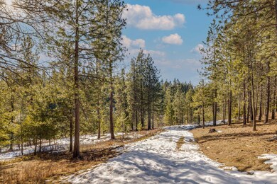 25815 N Perry Cir, Chattaroy, WA 99003 - photo 4