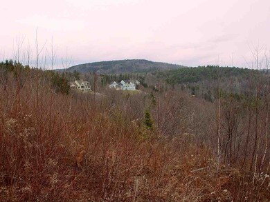 Lot 4 Oak Hill Rd, Springfield, NH 03284 - photo 4