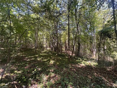 153 Pineway Ln, Thurmond, NC 28683 - photo 5