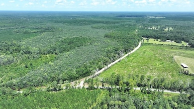 Xx Baron Rd unit LotWP002, Bonifay, FL 32427 - photo 7