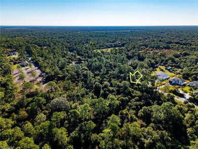 4431 16th Ave SE, Rural Estates, FL 34117 - photo 6