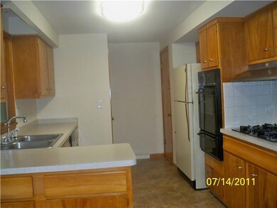 Kitchen. Natural Wood Kitchen Cabinets & new count