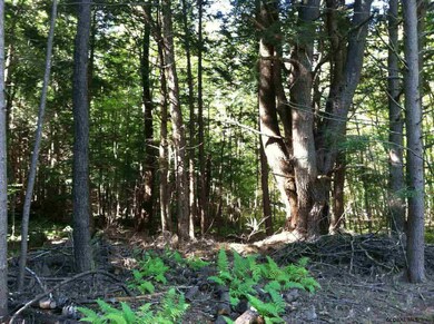 196 Gailey Hill Rd, Lake Luzerne, NY 12846 - photo 3