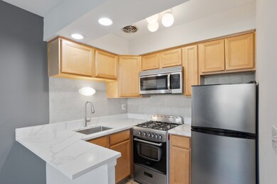 6758 N Sheridan Rd unit 342, Chicago, IL 60626 - photo 3