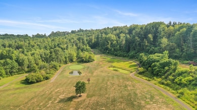 LOT 5 Waits Rd, Owego, NY 13827 - photo 5