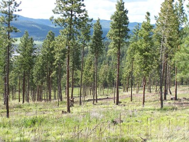 Nhn Tranquil Valley Trail, Kila, MT 59920 - photo 7