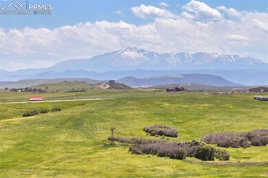 6410 Lake Gulch Rd, Castle Rock, CO 80104 - photo 6