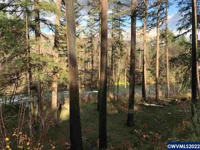 23655 Santiam Way SE, Lyons, OR 97358 - photo 2