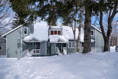 32 Shattarack Rd unit B5, Stratton, VT 05360 - photo 2