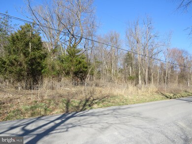 0 John Brown Farm Rd unit WVJF141852, Harpers Ferry, WV 25425 - photo 5